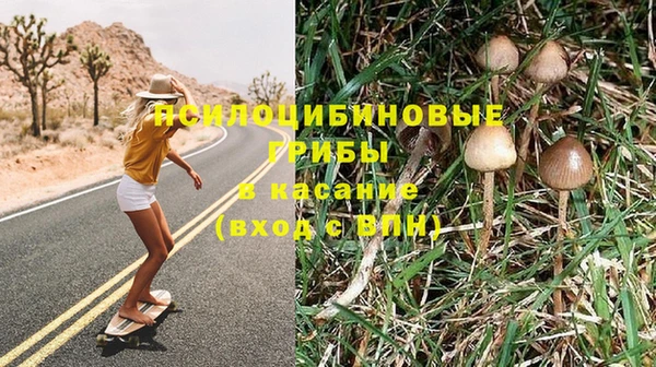 дживик Липки
