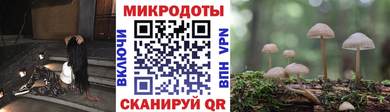 Псилоцибиновые грибы прущие грибы  где найти   Жирновск 